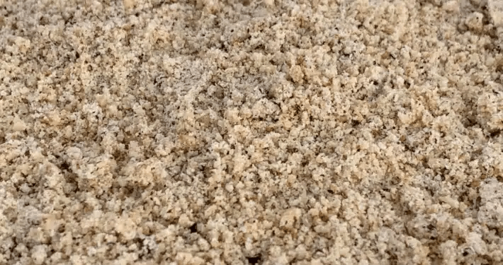 Hazelnut Flour