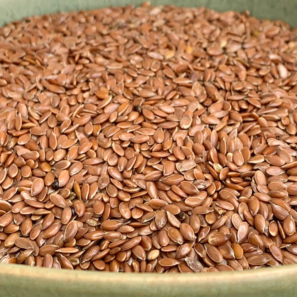 Graines de lin brun bio