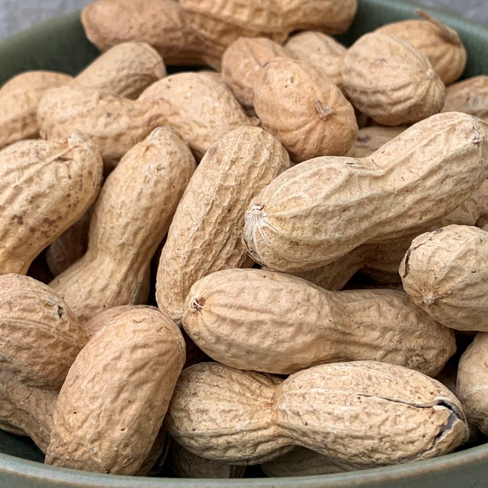 Organic Roasted Peanuts in Shell