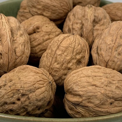 Nueces con Cáscara España