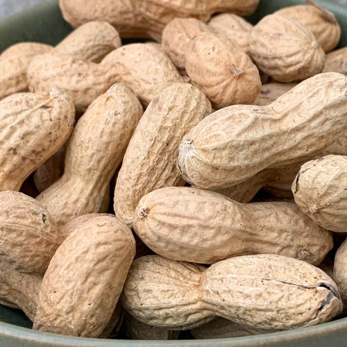 Cacahuete Tostado con Cáscara Ecológico